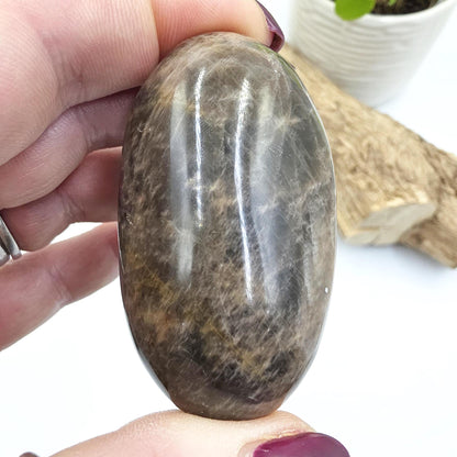 Black Moonstone Palm Stone – Intuition, Emotional Balance & Protective Grounding Crystal, 75g