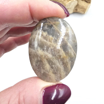 Rare Lattice Black Sunstone Palm Stone – Confidence, Protection & Empowered Energy Crystal - 30g