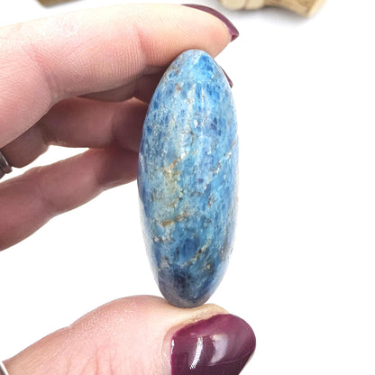 Flashy Blue Apatite Palm Stone - Motivation & Focus Healing Crystal - 75g