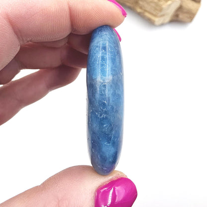 Blue Apatite Palm Stone - Motivation & Focus Healing Crystal - 55g