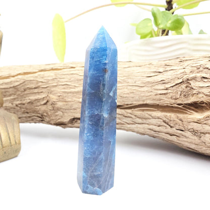 Blue Apatite Tower - Inspiration, Focus & Motivation Crystal Point, 75g