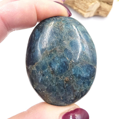 Blue Apatite Palm Stone - Motivation & Focus Healing Crystal - 90g
