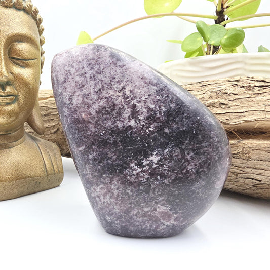 Dark Lepidolite Freeform – Stress Relief, Emotional Balance & Calming Healing Crystal, 665g