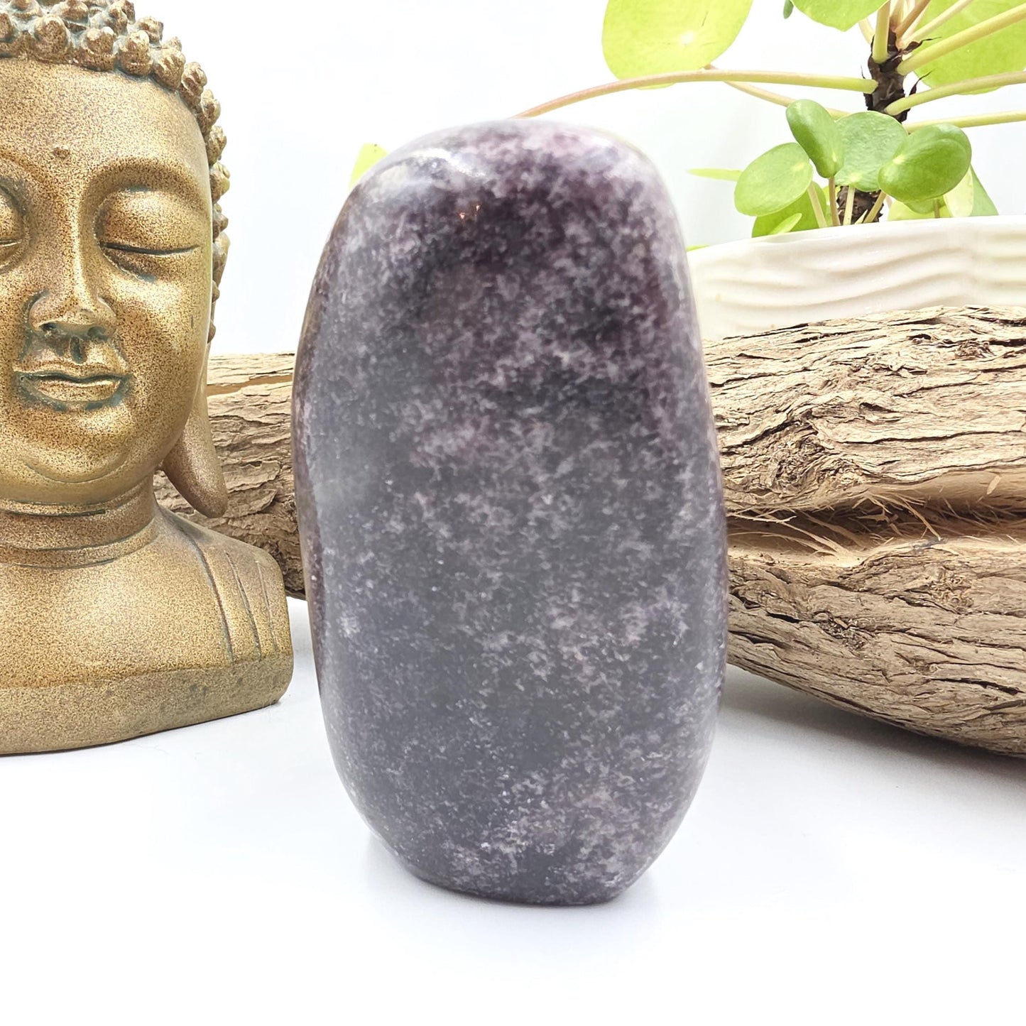 Dark Lepidolite Freeform – Stress Relief, Emotional Balance & Calming Healing Crystal, 665g