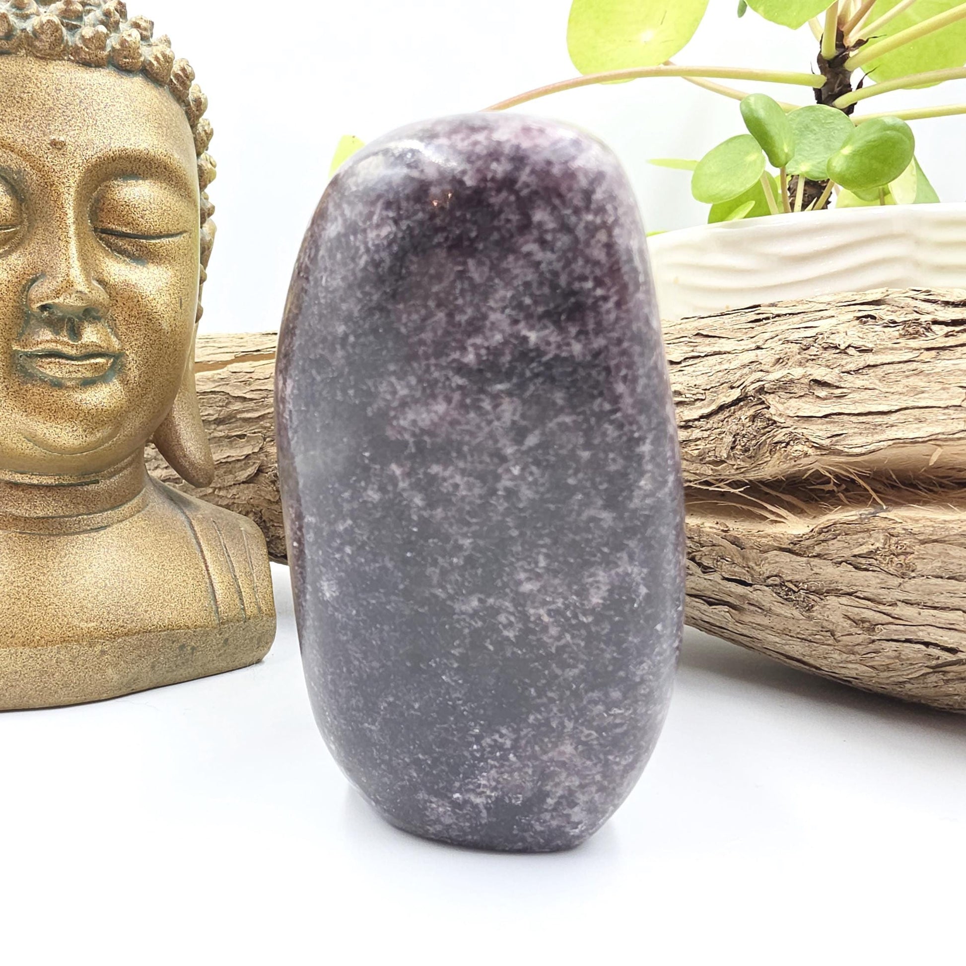 Dark Lepidolite Freeform – Stress Relief, Emotional Balance & Calming Healing Crystal, 665g