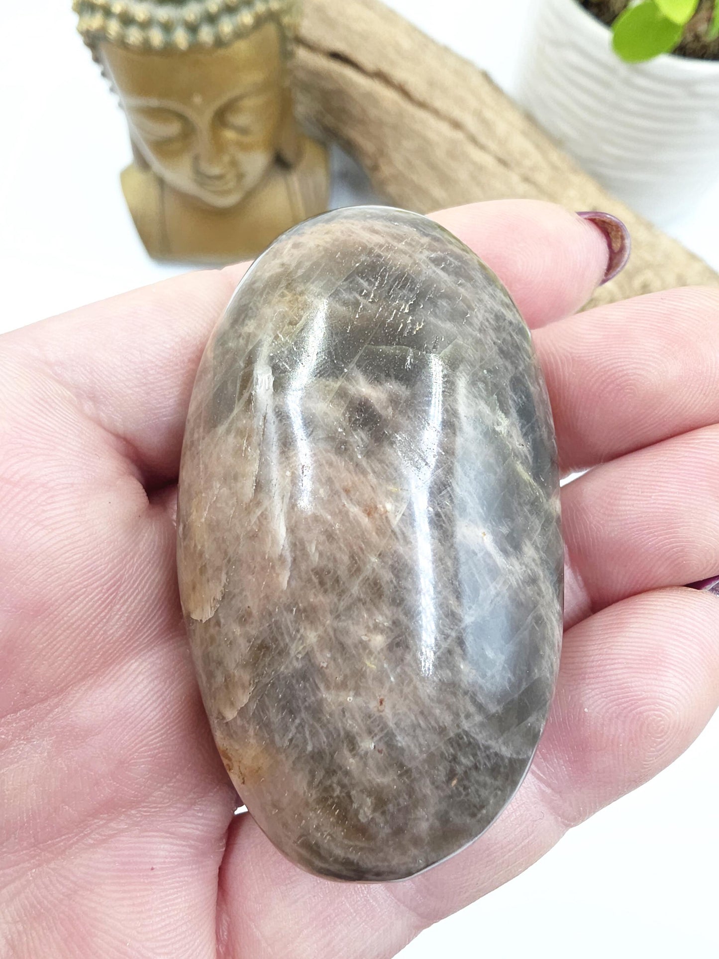 Black Moonstone Palm Stone – Intuition, Emotional Balance & Protective Grounding Crystal, 75g