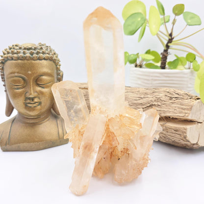 Large Raw Tangerine Quartz Cluster Specimen – Creativity, Confidence & Sacral Chakra Crystal, 770g