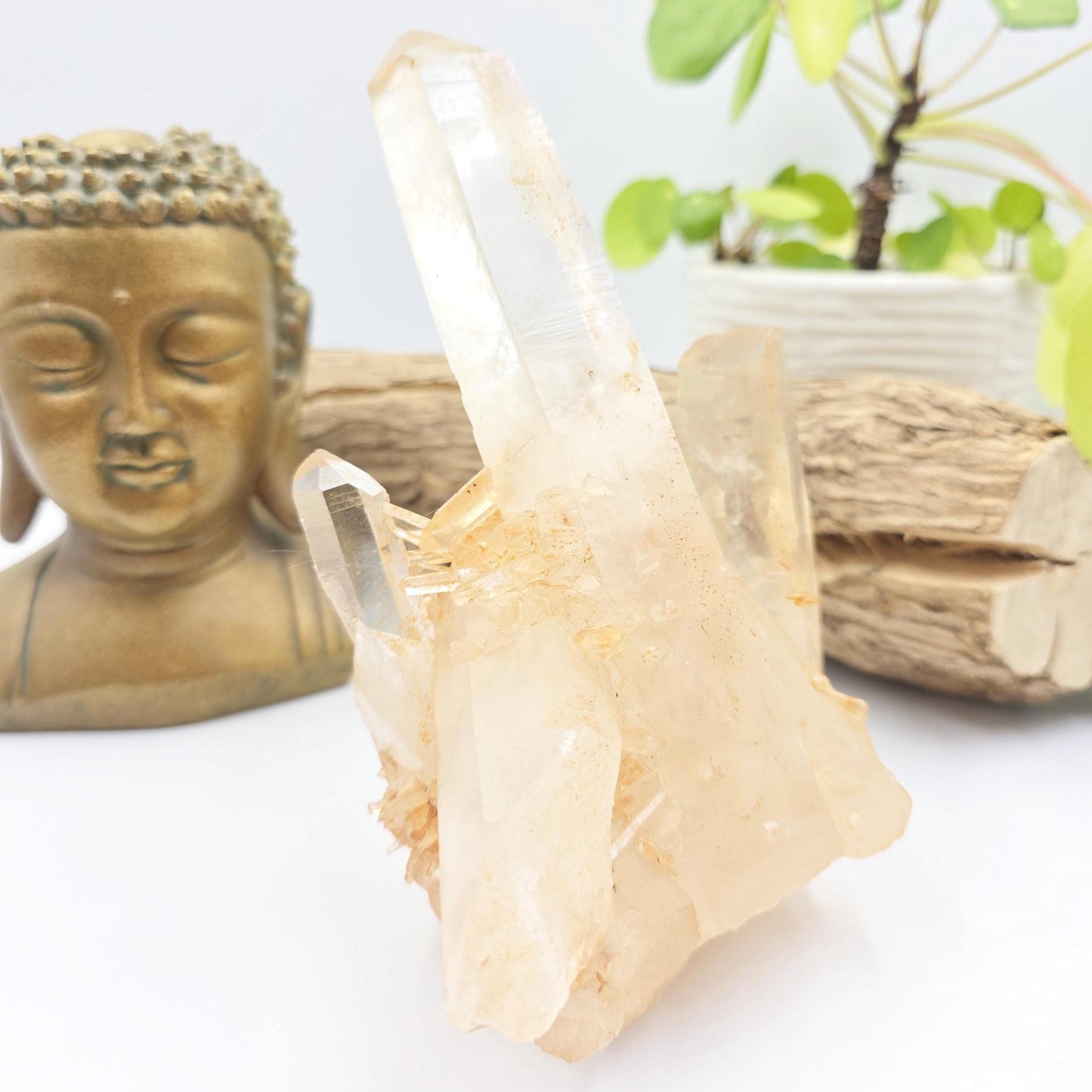 Large Raw Tangerine Quartz Cluster Specimen – Creativity, Confidence & Sacral Chakra Crystal, 770g