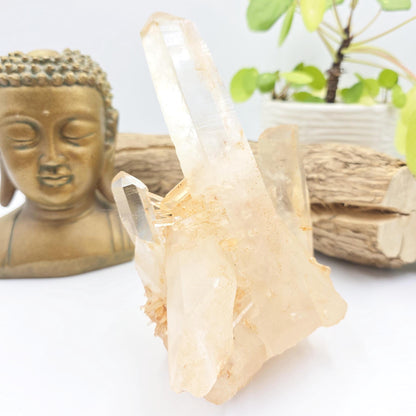 Large Raw Tangerine Quartz Cluster Specimen – Creativity, Confidence & Sacral Chakra Crystal, 770g