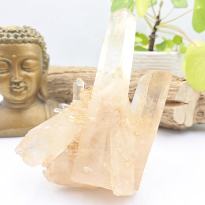 Large Raw Tangerine Quartz Cluster Specimen – Creativity, Confidence & Sacral Chakra Crystal, 770g