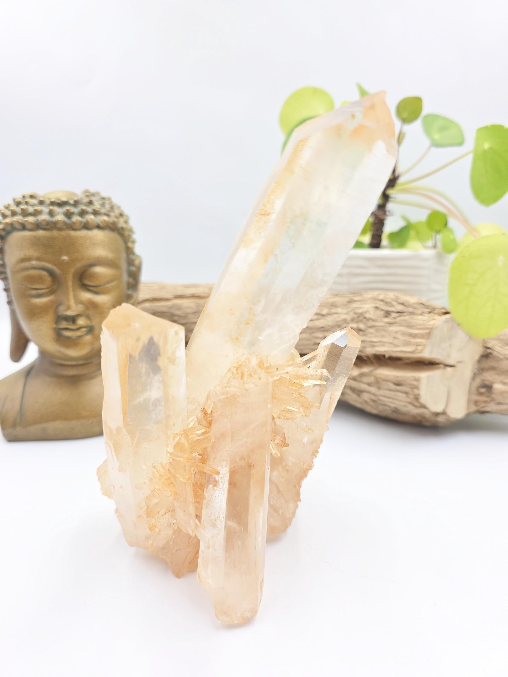 Large Raw Tangerine Quartz Cluster Specimen – Creativity, Confidence & Sacral Chakra Crystal, 770g