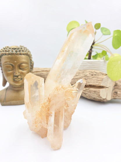 Large Raw Tangerine Quartz Cluster Specimen – Creativity, Confidence & Sacral Chakra Crystal, 770g