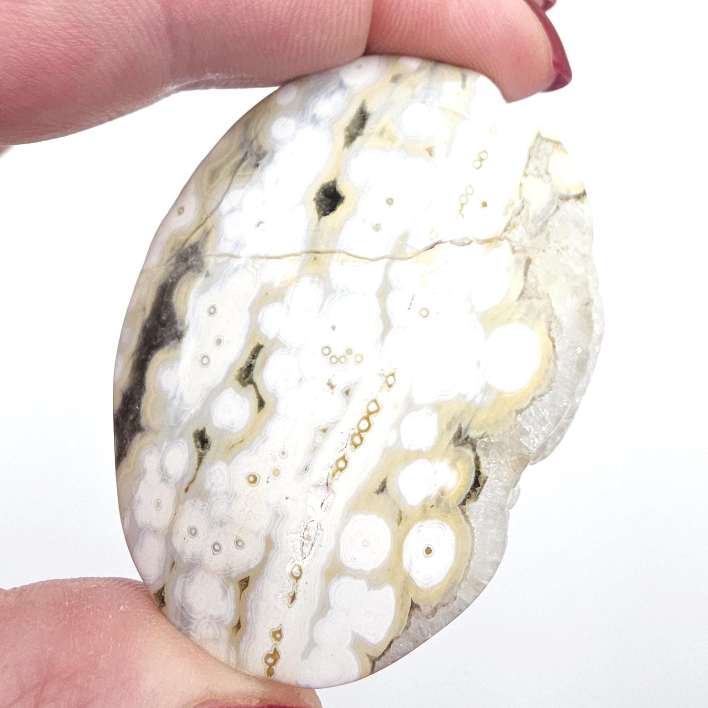 Orbicular Ocean Jasper Palm - Joy & Renewal Healing Crystal, 65g
