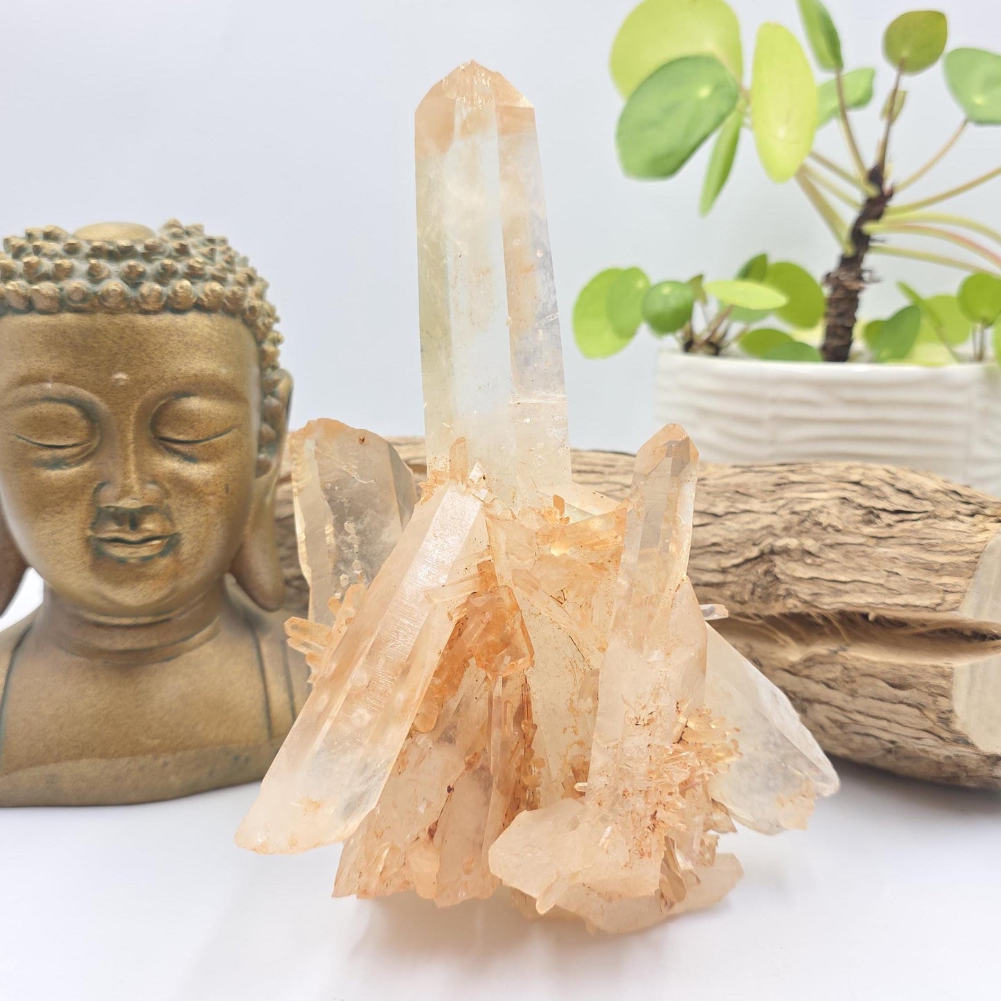 Large Raw Tangerine Quartz Cluster Specimen – Creativity, Confidence & Sacral Chakra Crystal, 770g