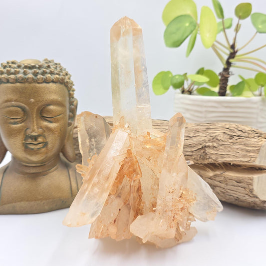 Large Raw Tangerine Quartz Cluster Specimen – Creativity, Confidence & Sacral Chakra Crystal, 770g