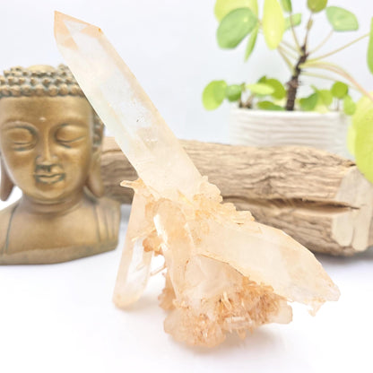 Large Raw Tangerine Quartz Cluster Specimen – Creativity, Confidence & Sacral Chakra Crystal, 770g