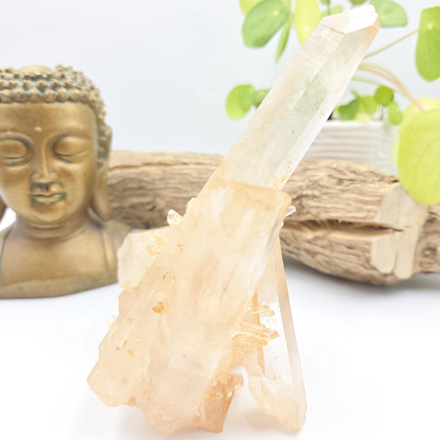 Large Raw Tangerine Quartz Cluster Specimen – Creativity, Confidence & Sacral Chakra Crystal, 770g