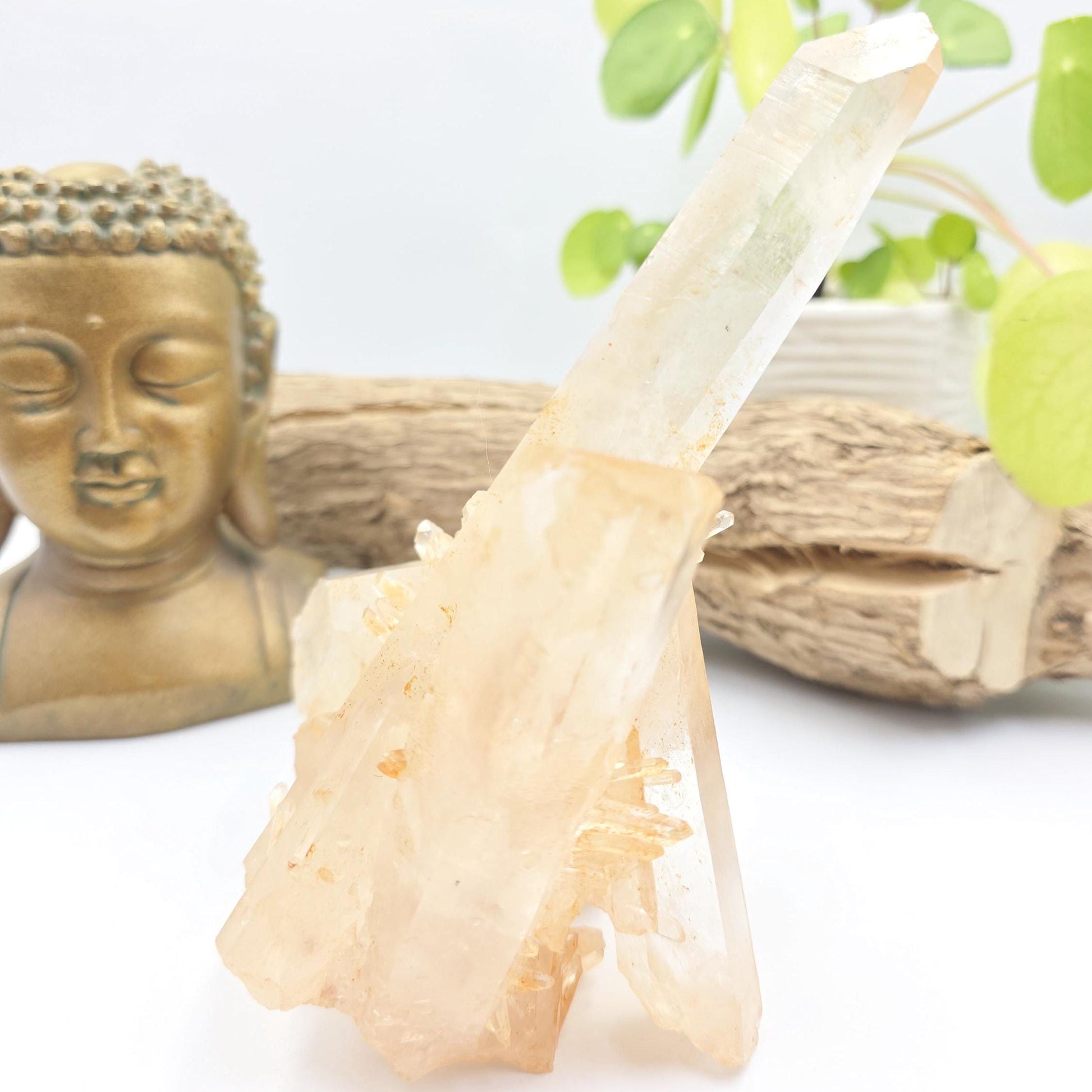 Large Raw Tangerine Quartz Cluster Specimen – Creativity, Confidence & Sacral Chakra Crystal, 770g