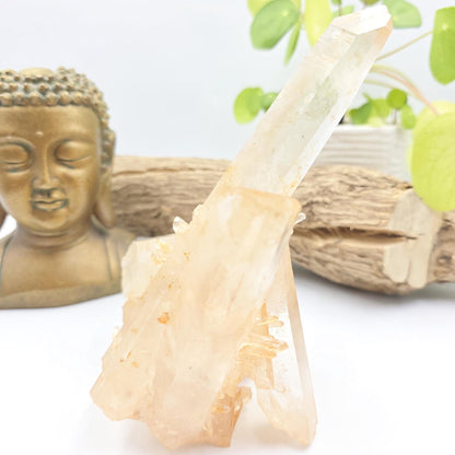 Large Raw Tangerine Quartz Cluster Specimen – Creativity, Confidence & Sacral Chakra Crystal, 770g