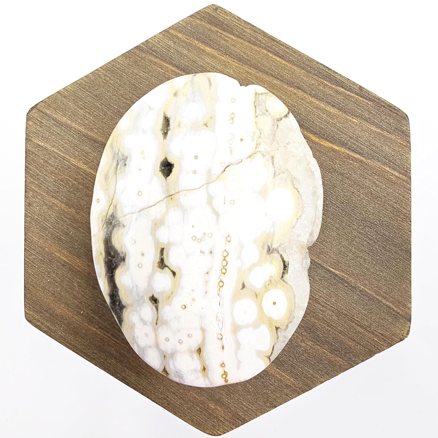 Orbicular Ocean Jasper Palm - Joy & Renewal Healing Crystal, 65g