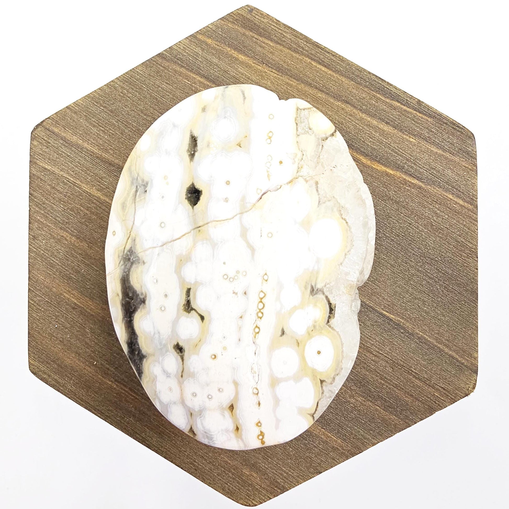 Orbicular Ocean Jasper Palm - Joy & Renewal Healing Crystal, 65g