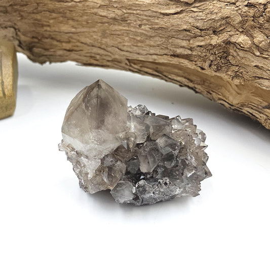 Little Rare Black Spirit Quartz Cluster - Protective & Spiritual Growth Crystal - 50g