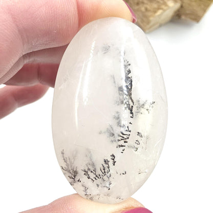Rare Dendritic Quartz Palm Stone – Clarity, Growth and Root & Crown Chakra Crystal, 50g
