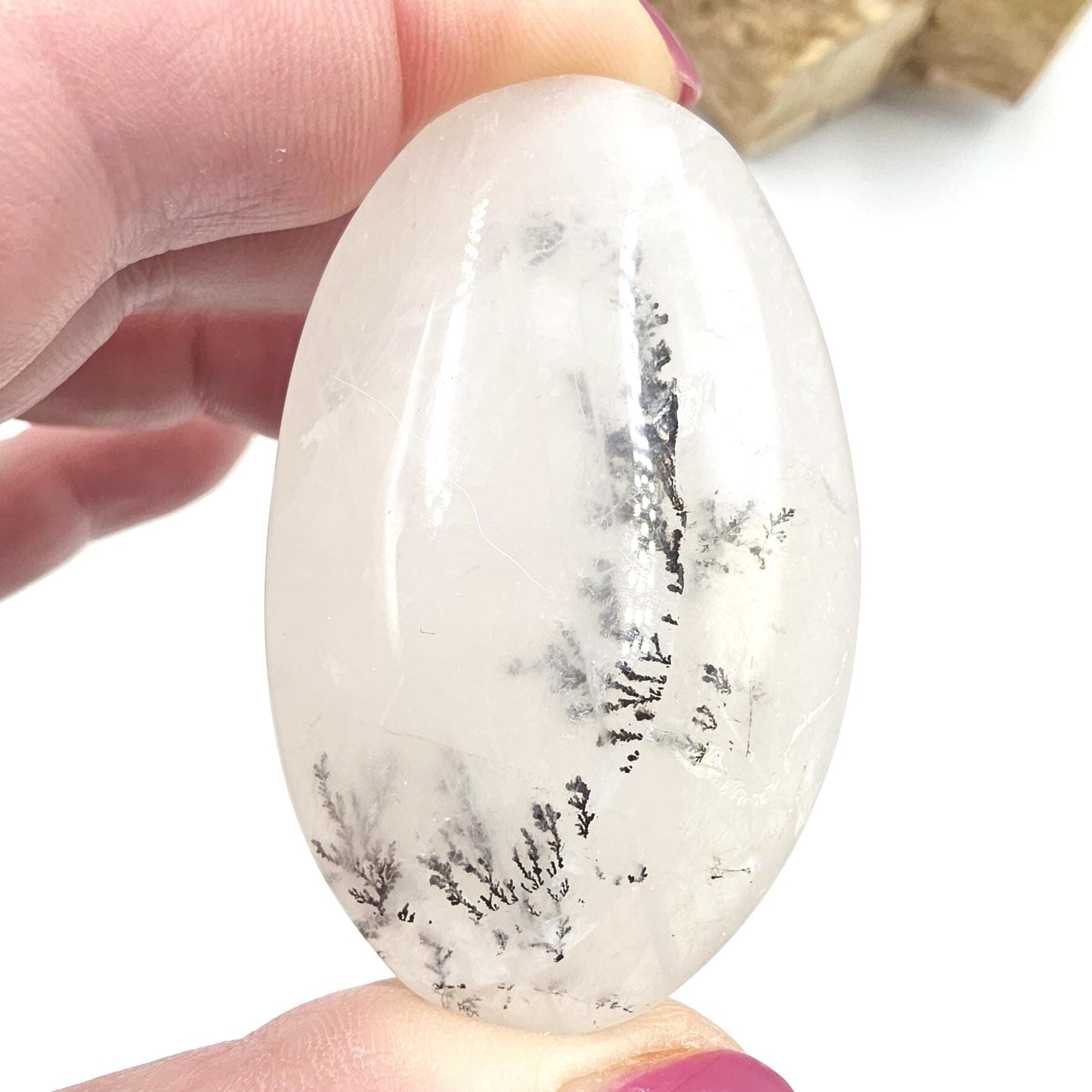 Rare Dendritic Quartz Palm Stone – Clarity, Growth and Root & Crown Chakra Crystal, 50g