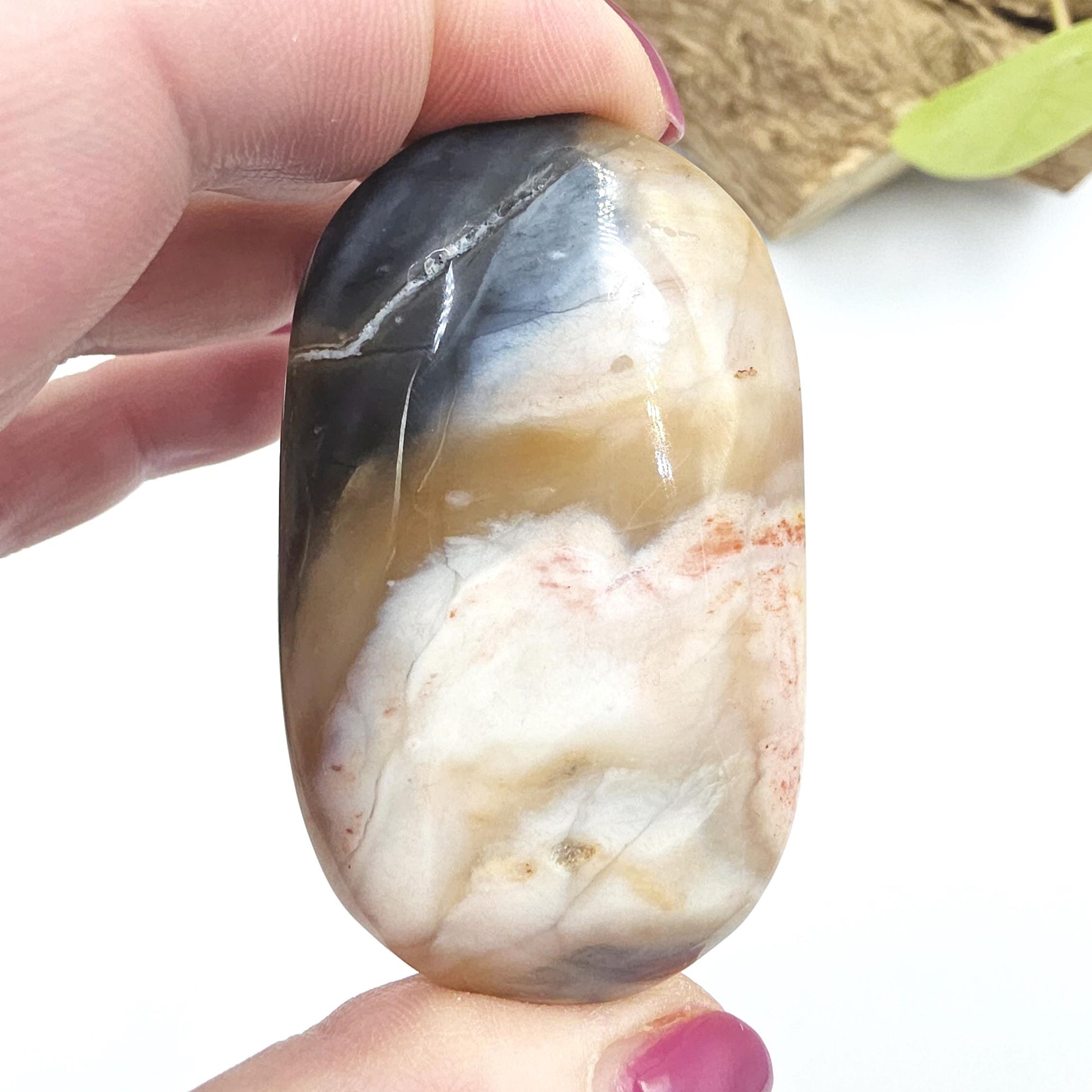 Petrified Wood Palm Stone - Grounding & Ancestral Wisdom Crystal - 65g