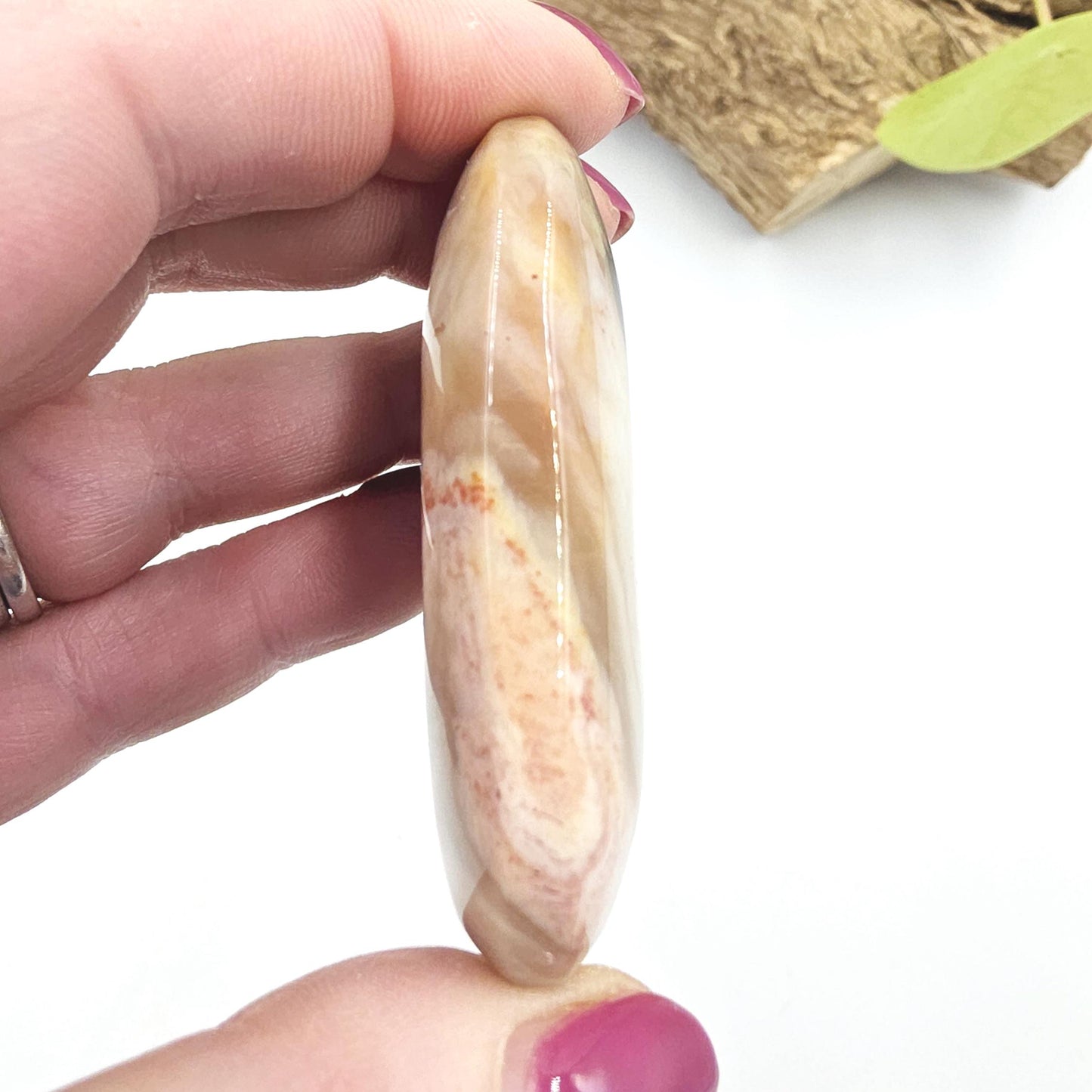 Petrified Wood Palm Stone - Grounding & Ancestral Wisdom Crystal - 65g