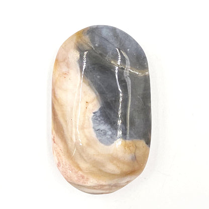 Petrified Wood Palm Stone - Grounding & Ancestral Wisdom Crystal - 65g