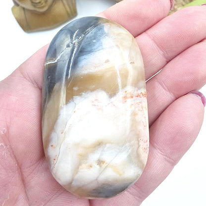 Petrified Wood Palm Stone - Grounding & Ancestral Wisdom Crystal - 65g