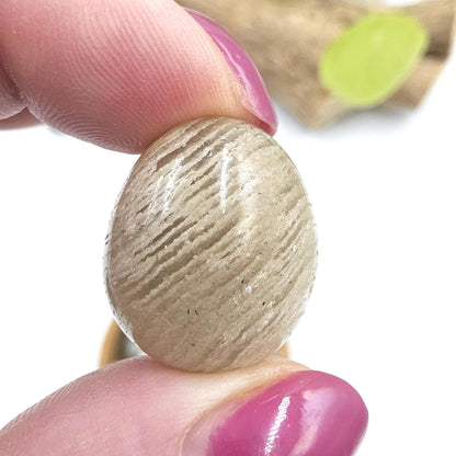 Thousand Layer Garden Quartz (Lodolite) Tumble Stones – Manifestation, Growth & Spiritual Journey Crystal, 2-3cm
