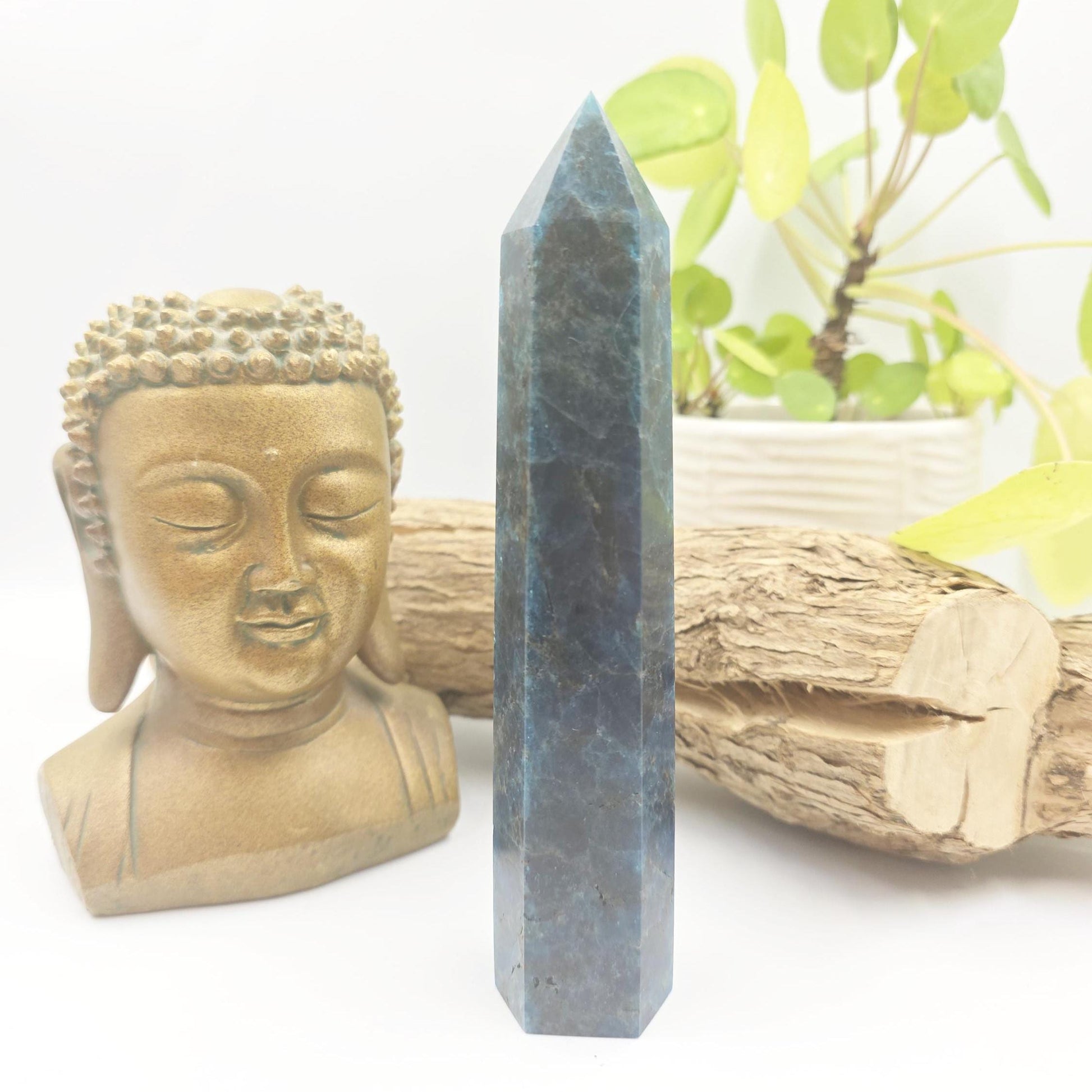 Large Blue Apatite Tower - Inspiration, Focus & Motivation Crystal Point, 17cm