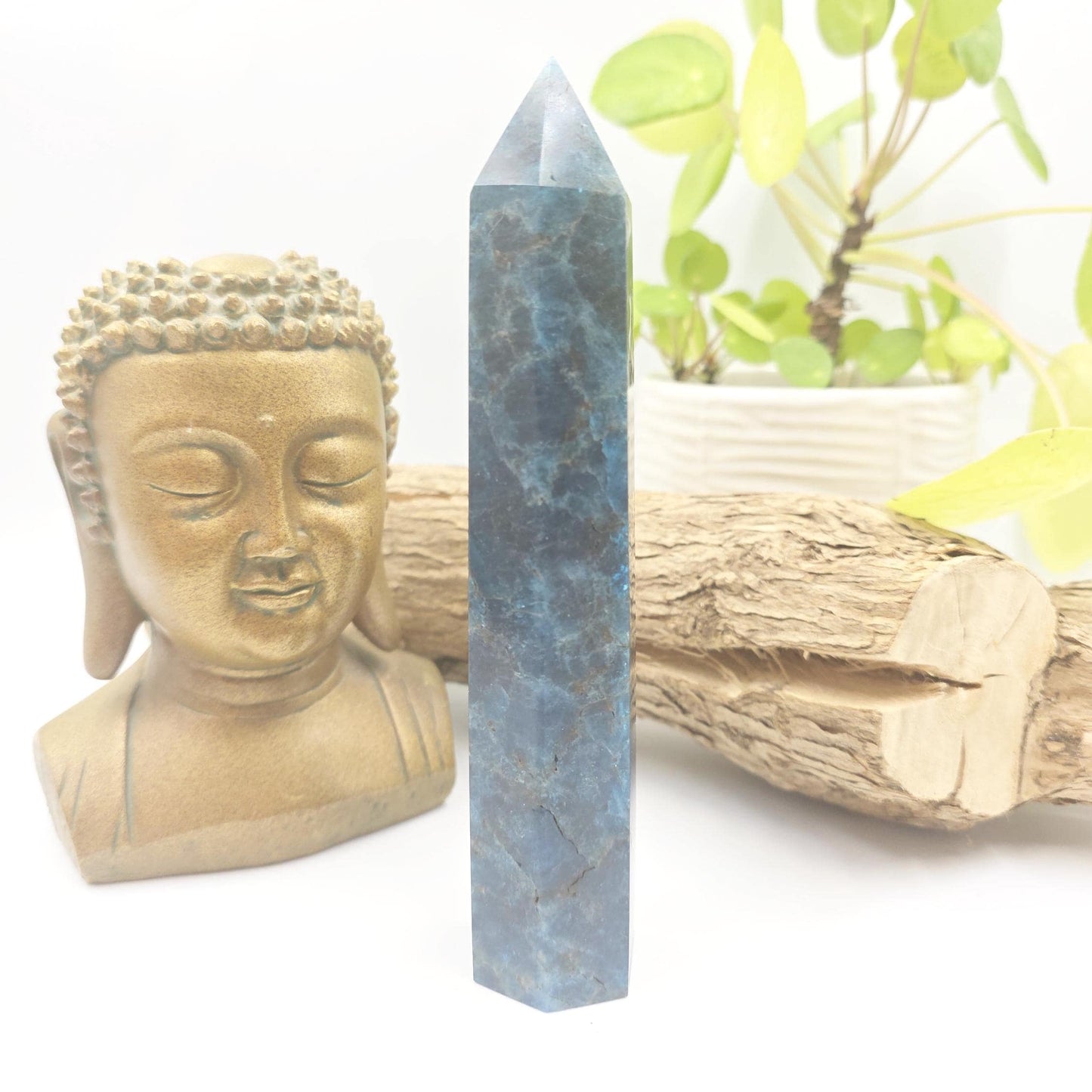 Large Blue Apatite Tower - Inspiration, Focus & Motivation Crystal Point, 17cm