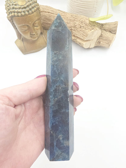 Large Blue Apatite Tower - Inspiration, Focus & Motivation Crystal Point, 17cm