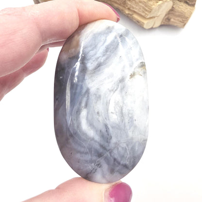 Petrified Wood Palm Stone - Grounding & Ancestral Wisdom Crystal - 85g