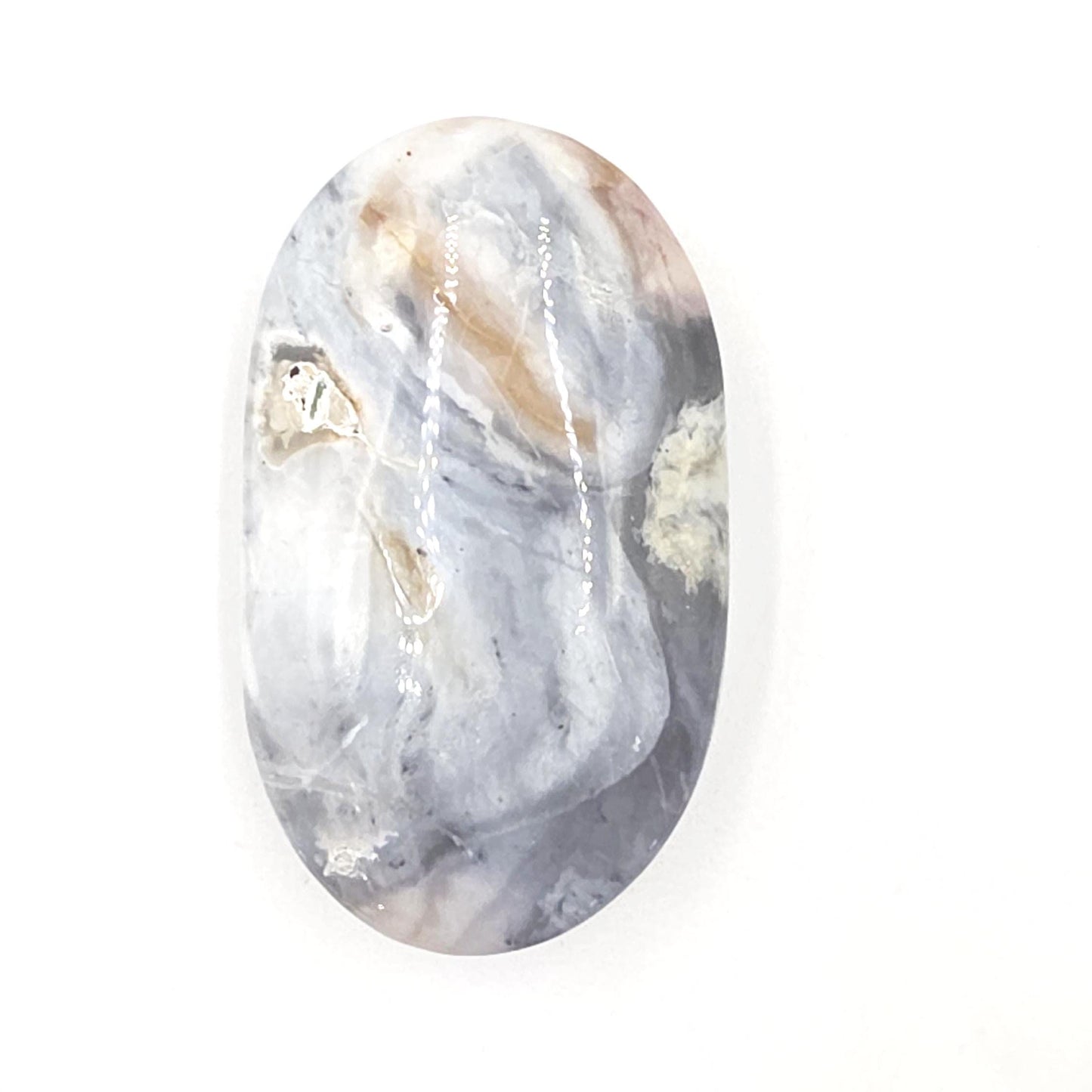 Petrified Wood Palm Stone - Grounding & Ancestral Wisdom Crystal - 85g