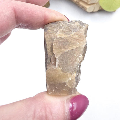 Raw Skeletal Moonstone Specimen – Intuition, Feminine Energy & Lunar Wisdom Crystal, 60g