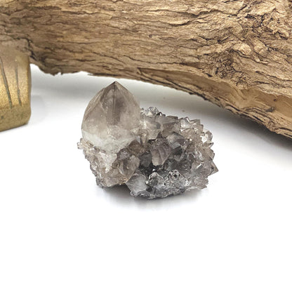 Little Rare Black Spirit Quartz Cluster - Protective & Spiritual Growth Crystal - 50g