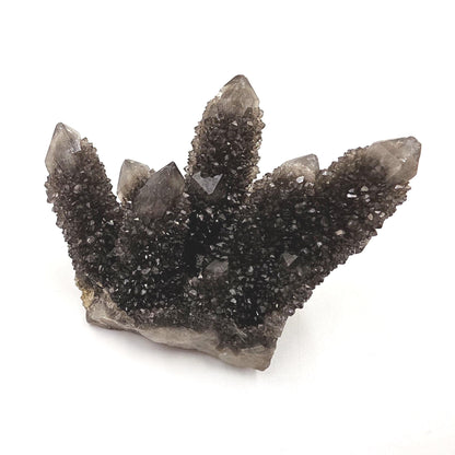 Rare Black Spirit Quartz Cluster Specimen – Protection, Spiritual Growth & High Vibration Crystal, 105g