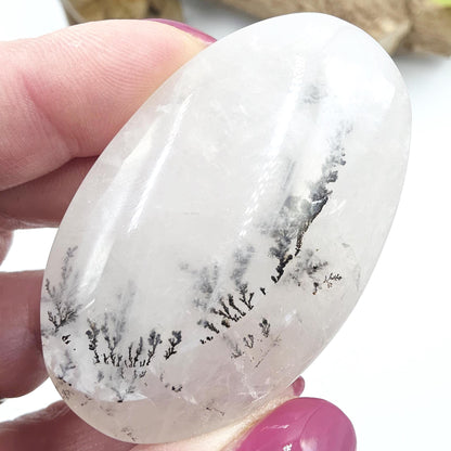 Rare Dendritic Quartz Palm Stone – Clarity, Growth and Root & Crown Chakra Crystal, 50g