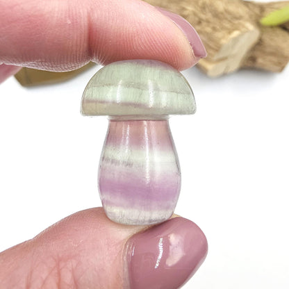 Fluorite Mushroom Carving – Clarity, Focus & Third Eye Chakra Crystal, 23g