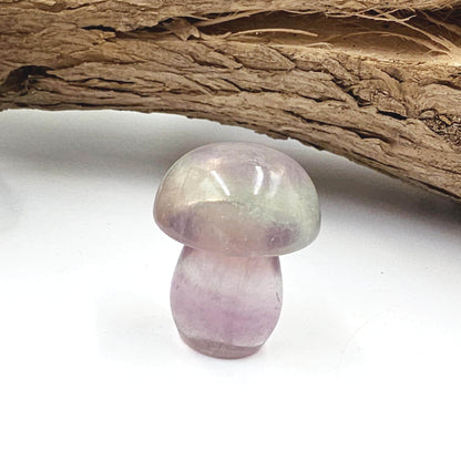 Fluorite Mushroom Carving – Clarity, Focus & Third Eye Chakra Crystal, 23g