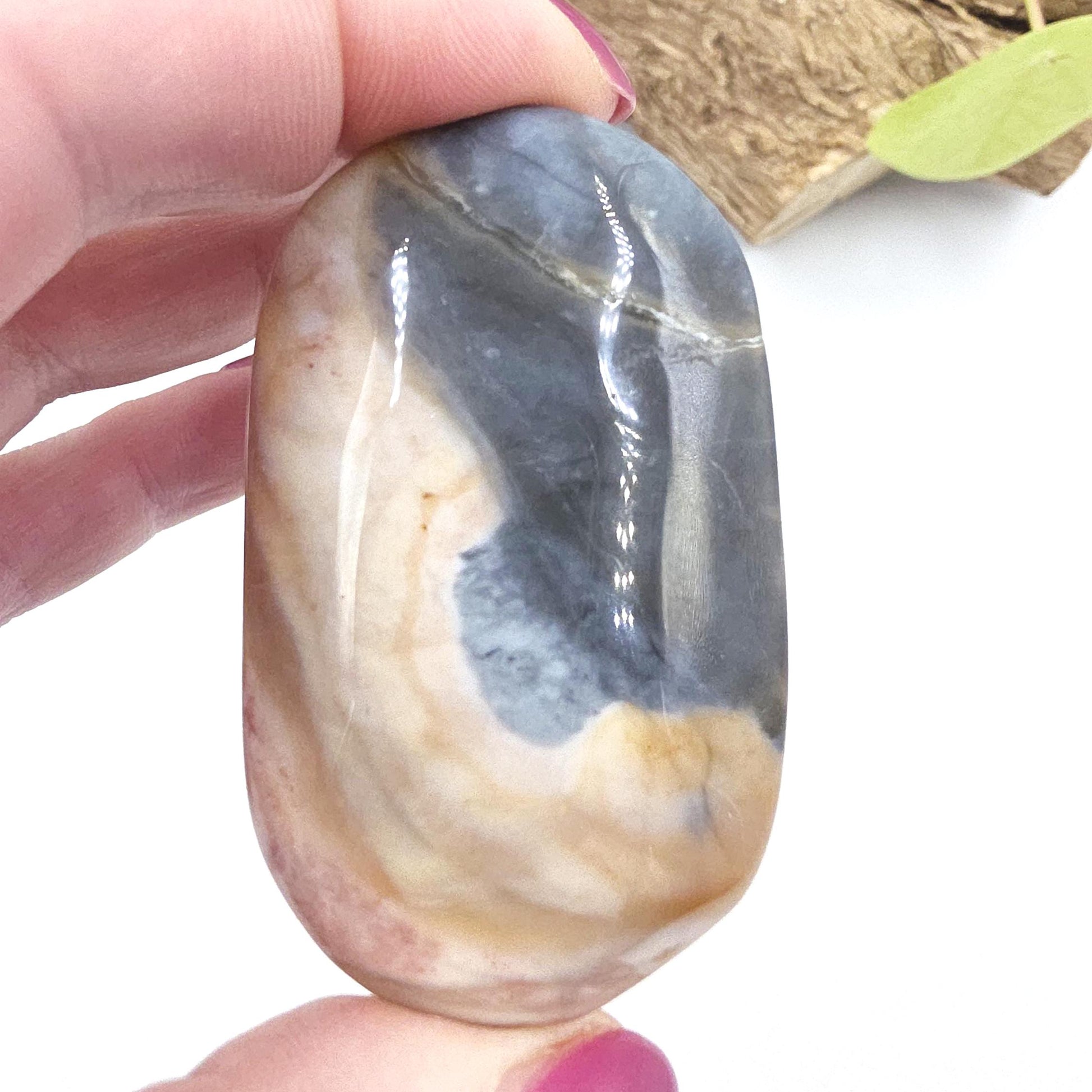 Petrified Wood Palm Stone - Grounding & Ancestral Wisdom Crystal - 65g