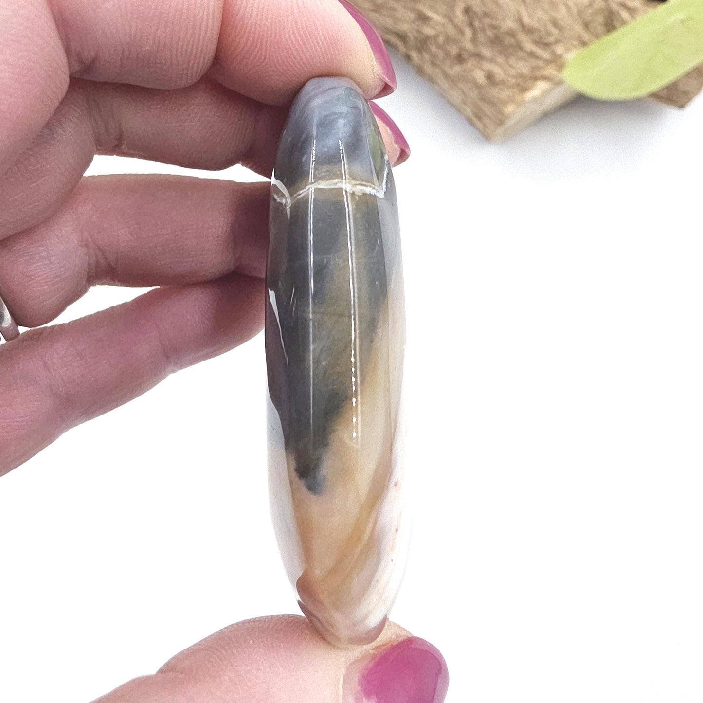 Petrified Wood Palm Stone - Grounding & Ancestral Wisdom Crystal - 65g