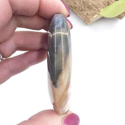 Petrified Wood Palm Stone - Grounding & Ancestral Wisdom Crystal - 65g