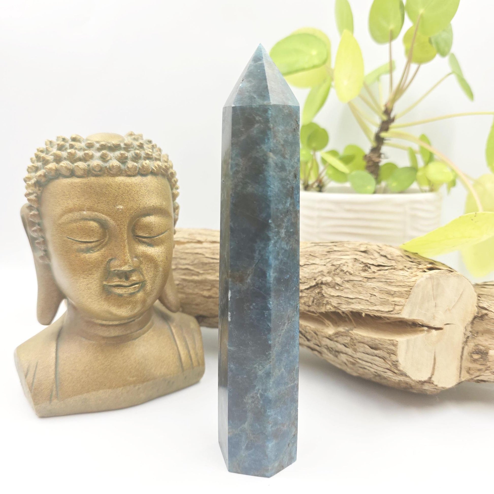 Large Blue Apatite Tower - Inspiration, Focus & Motivation Crystal Point, 17cm