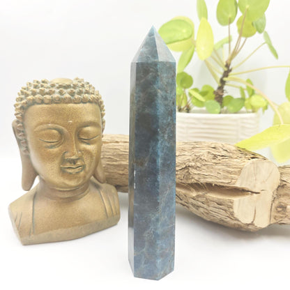 Large Blue Apatite Tower - Inspiration, Focus & Motivation Crystal Point, 17cm