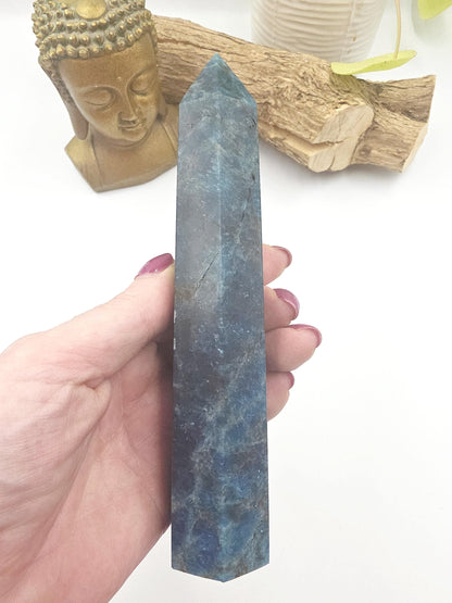 Large Blue Apatite Tower - Inspiration, Focus & Motivation Crystal Point, 17cm